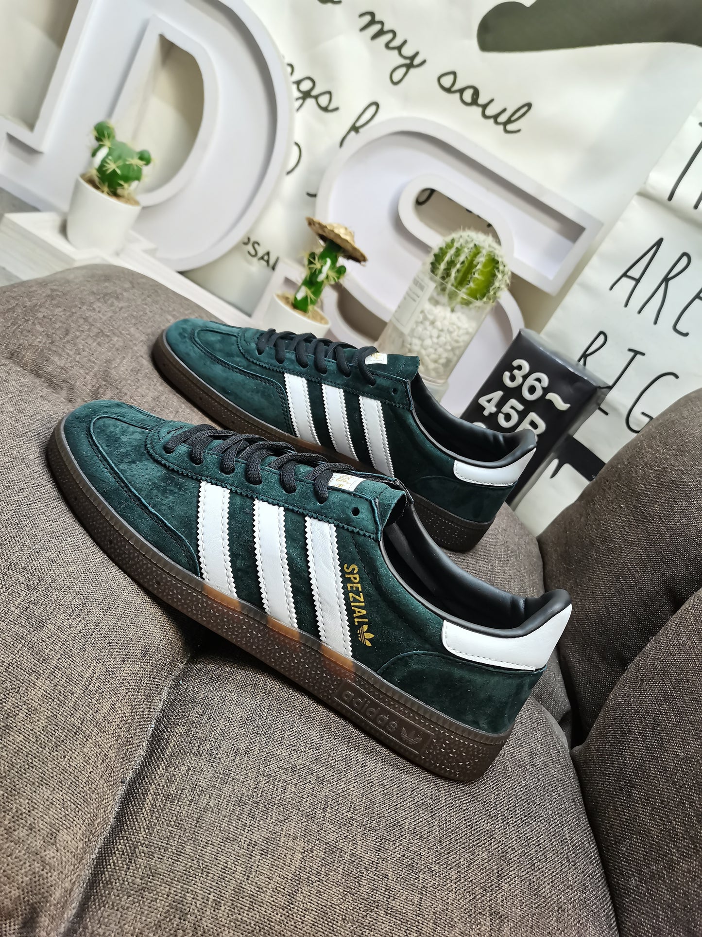 Spezial olive