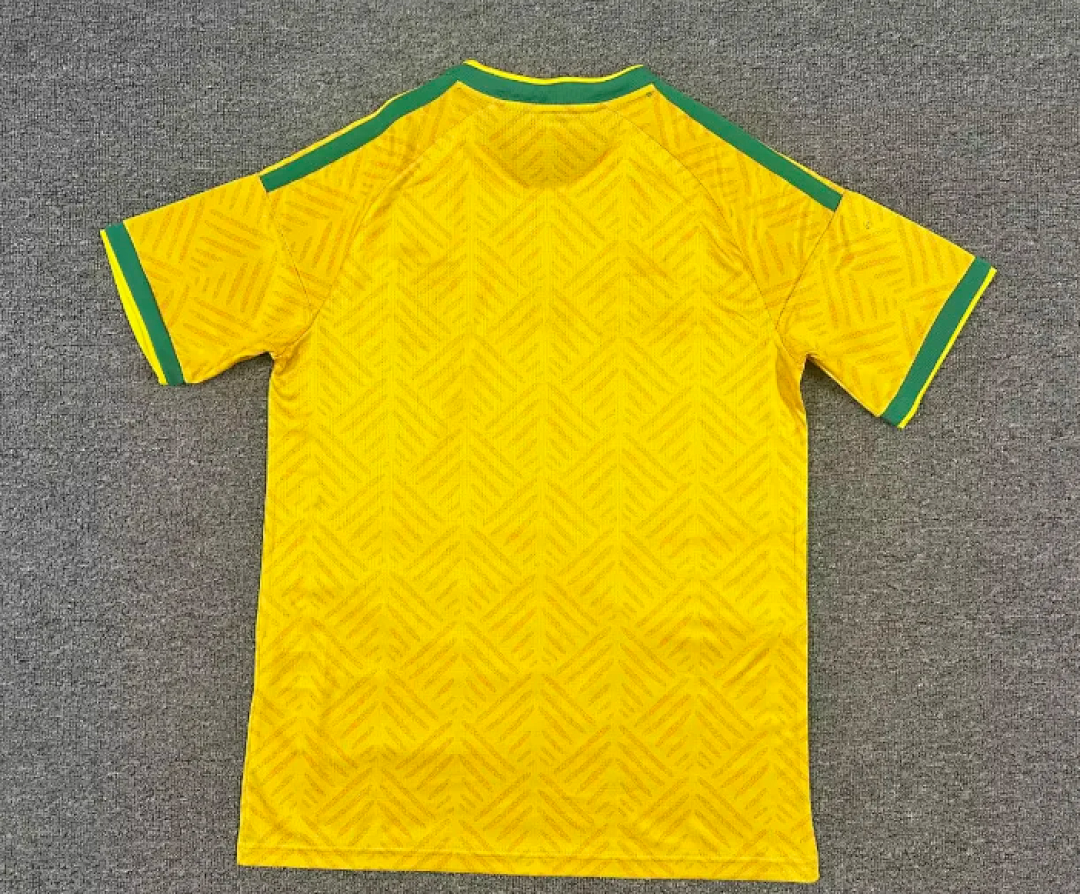 Sudáfrica Local 2026