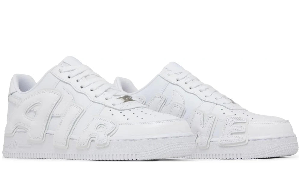 Air Force 1 cactus plant flea