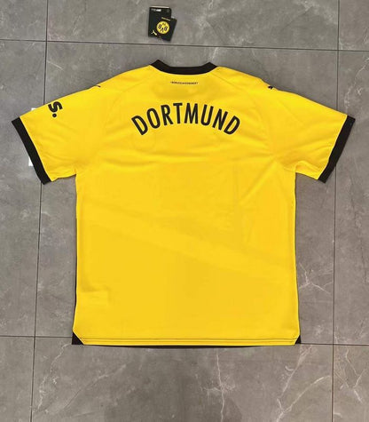 Borussia Dortmund Local