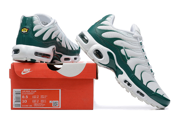 TN lacoste