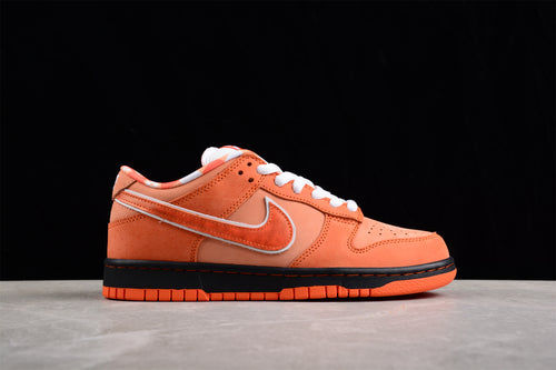 Dunk SB Low concepts orange