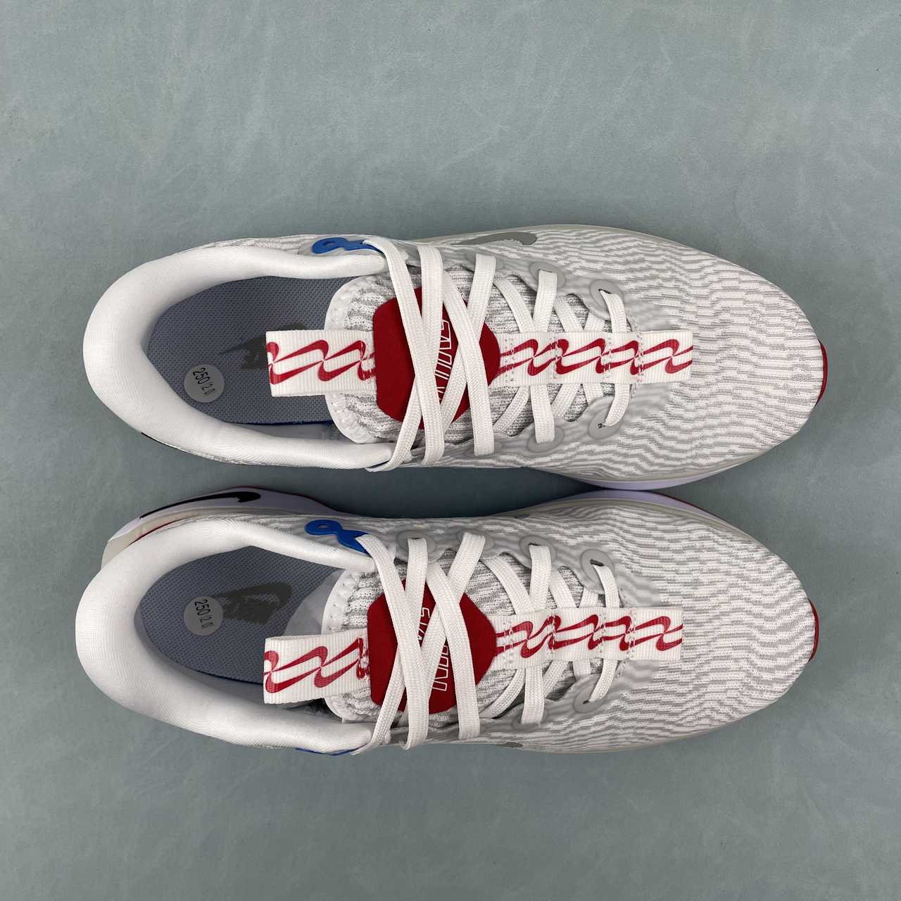 Motiva grey blue red