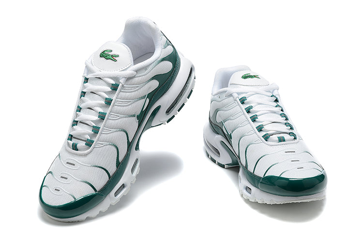 TN lacoste
