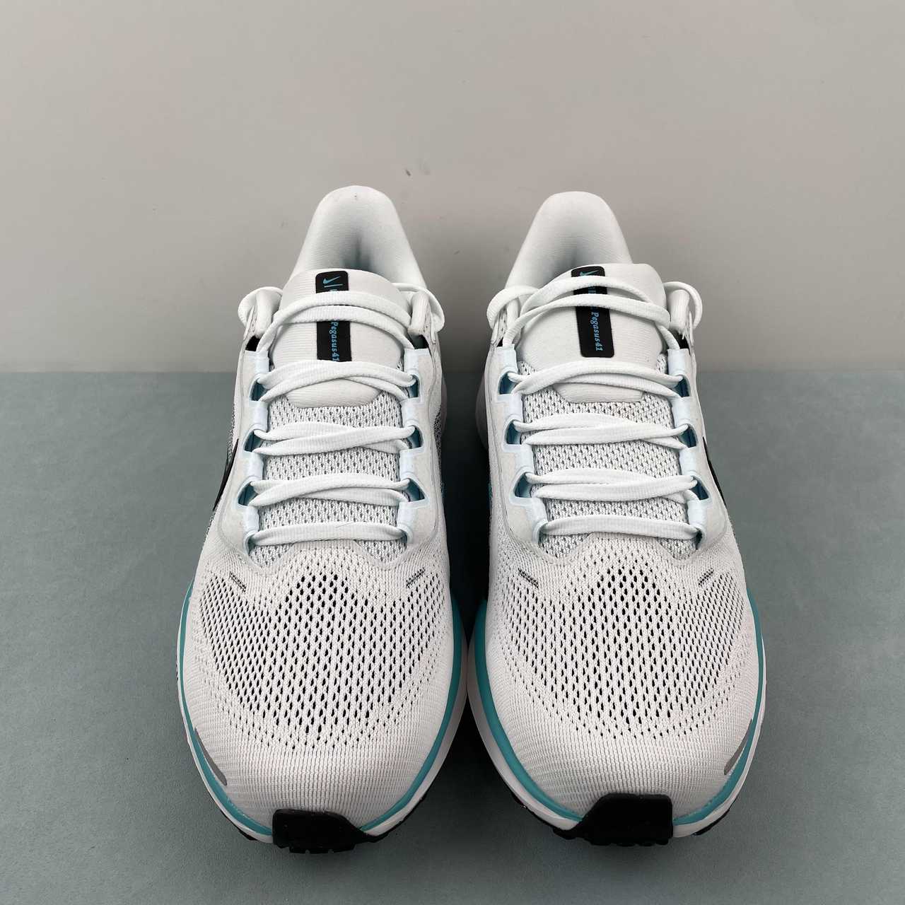 Zoom Pegasus 41 white black blue