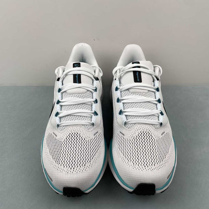 Zoom Pegasus 41 white black blue